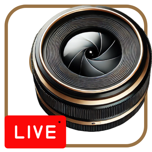 Fashion Hunters Live
